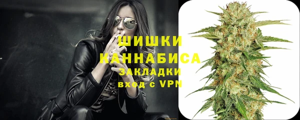 прущие грибы Абаза