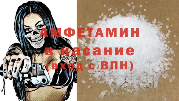 прущие грибы Абаза