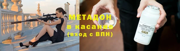 прущие грибы Абаза