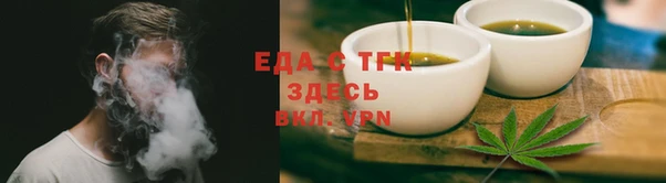 прущие грибы Абаза