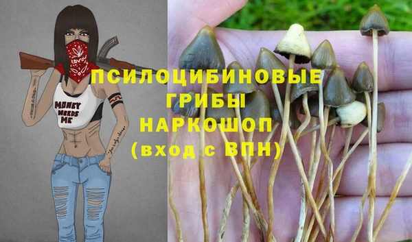 МДПВ Абинск