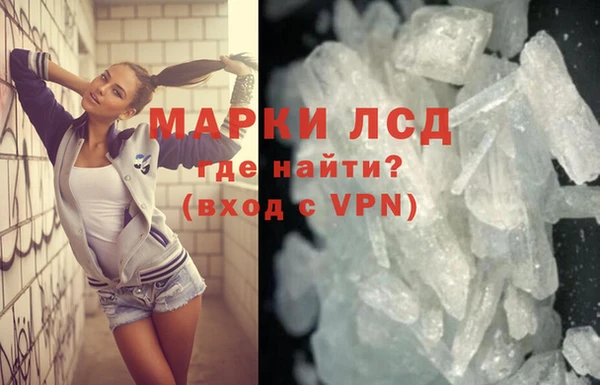 прущие грибы Абаза