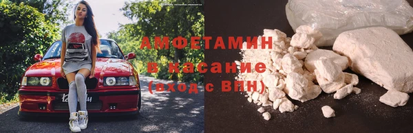 прущие грибы Абаза