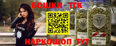 индика Дубна
