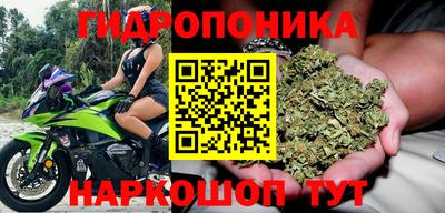 гашик Новодвинск