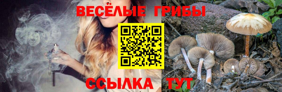 хочу наркоту  Галлюциногенные грибы Psilocybine cubensis  Галлюциногенные грибы мухоморы  Вход с VPN  Нальчик 